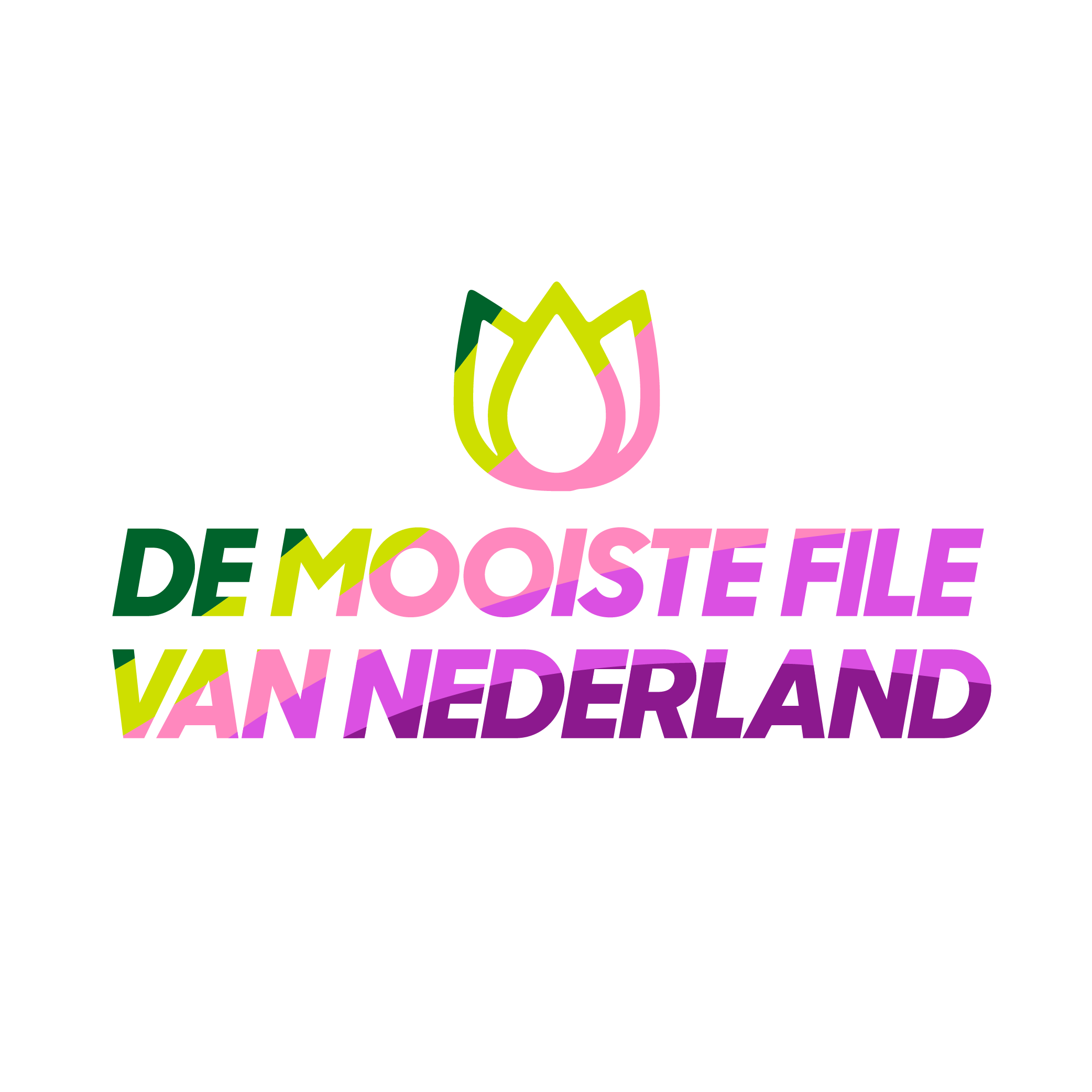 De Mooiste File van Nederland